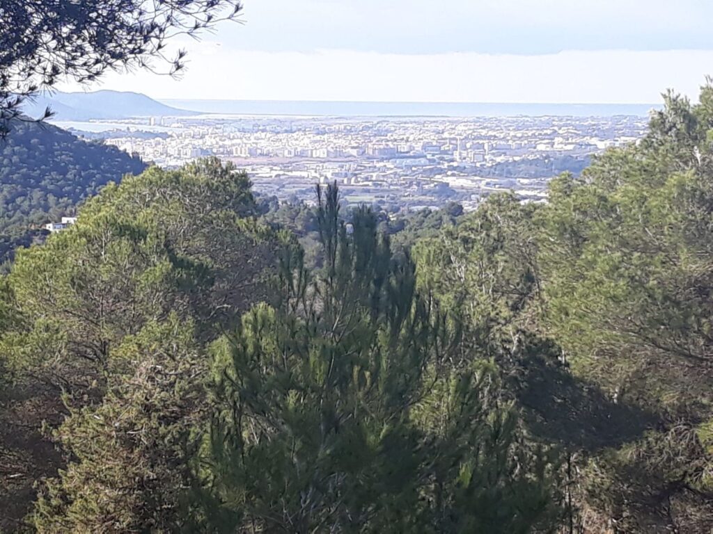 Fincas y solares (Sa Creus des Magres)